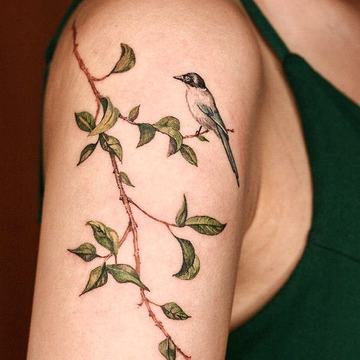 Tatuiruotės ant peties