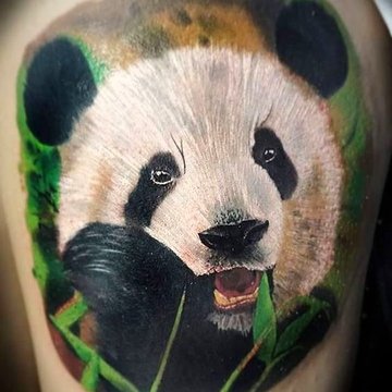 Панда (1)