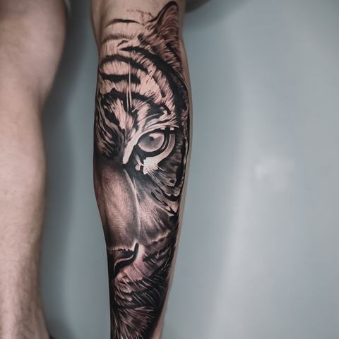 Išraiškinga tigro tatuiruotė ant blauzdos, kurioje gilūs juodai pilki šešėliai, ryškus žvilgsnis ir subtilūs raudoni tonai suteikia piešiniui gyvumo bei charakterio.