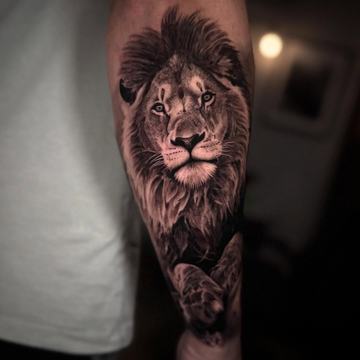 Realistic lion tattoo on arm with soft shading