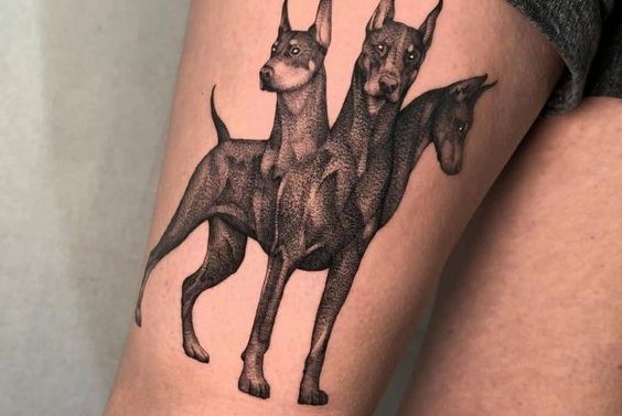 d66d15fc3dc4718244eb2d1e48c63975