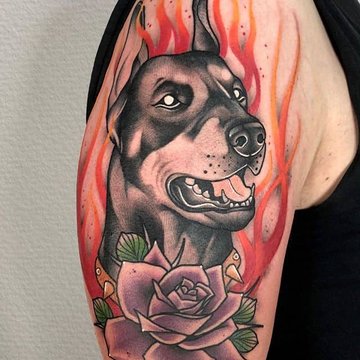 доберман (11)