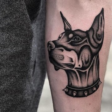 доберман (18)