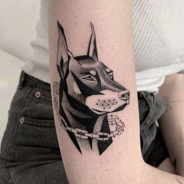 доберман (23)